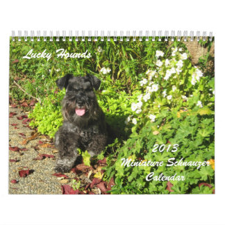 Calendario afortunado 2013 del Schnauzer miniatura