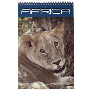 Calendario áfrica 15 meses