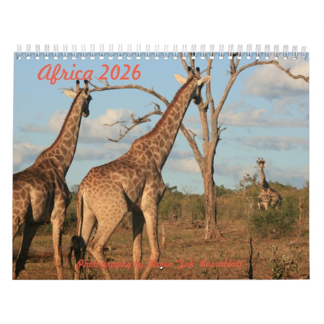 Calendario Africa - 2026 Calendar (Tapa)