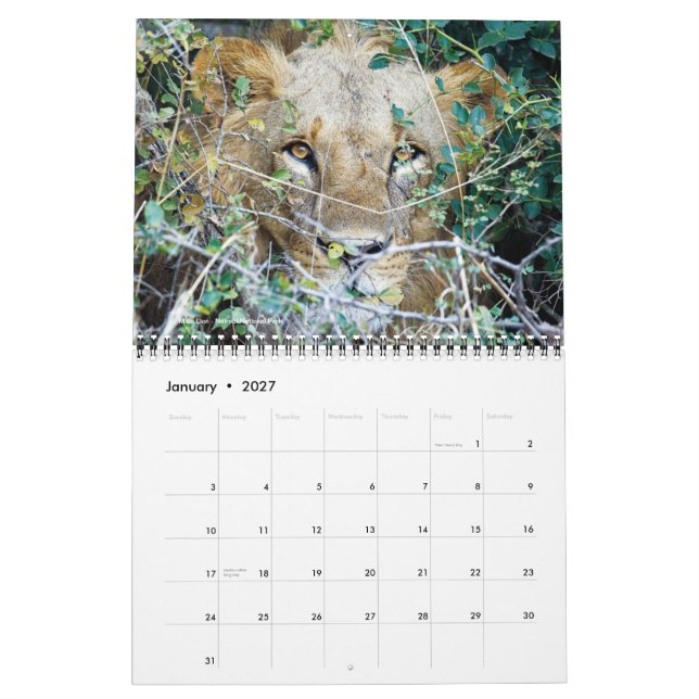 Calendario - África en safari (Jan 2027)
