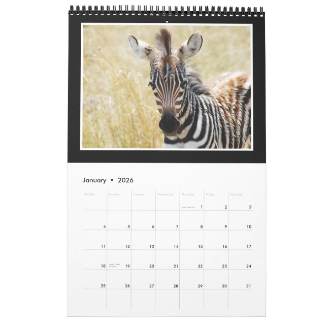 Calendario África salvaje animal 2013 (CUALQUIER AÑO) (Jan 2026)