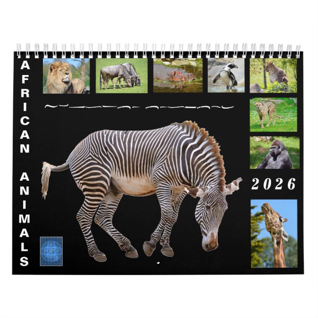 Calendario African animals 12 month calendar (Tapa)