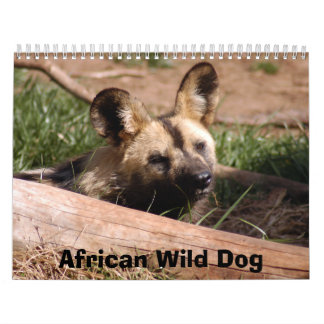 Calendario african-wild-dog-012, perro salvaje africano
