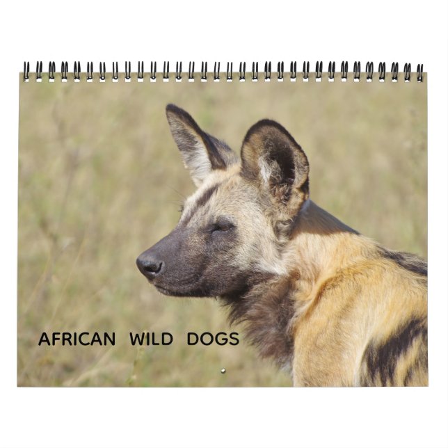 CALENDARIO AFRICAN WILD DOGS (Tapa)