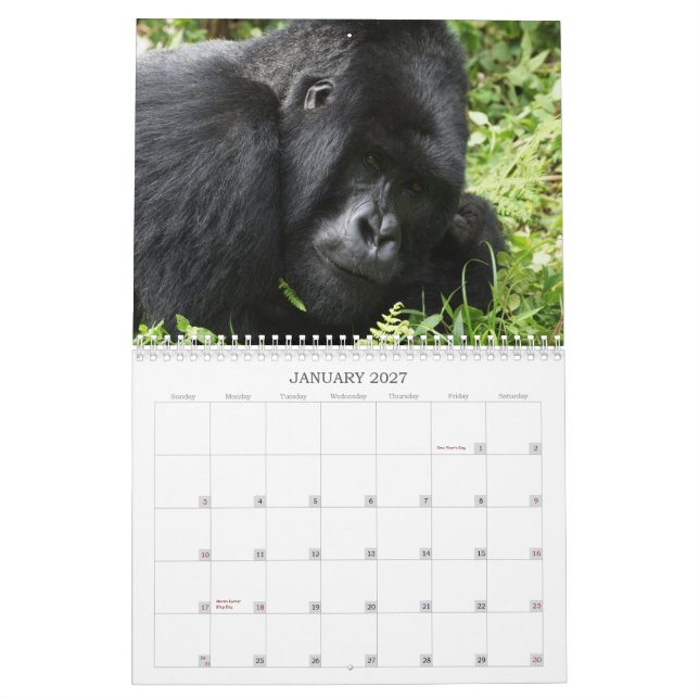 Calendario africano 2013 de la fauna (Jan 2027)