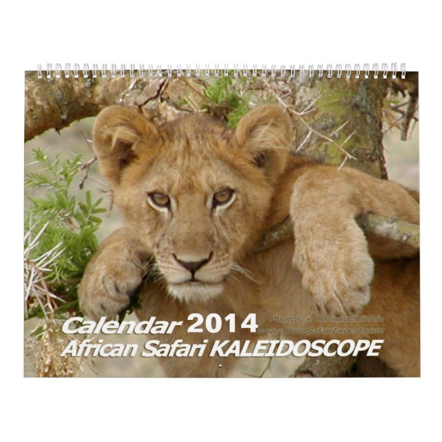 Calendario africano 2014 2-Pg. del CALEIDOSCOPIO (Tapa)
