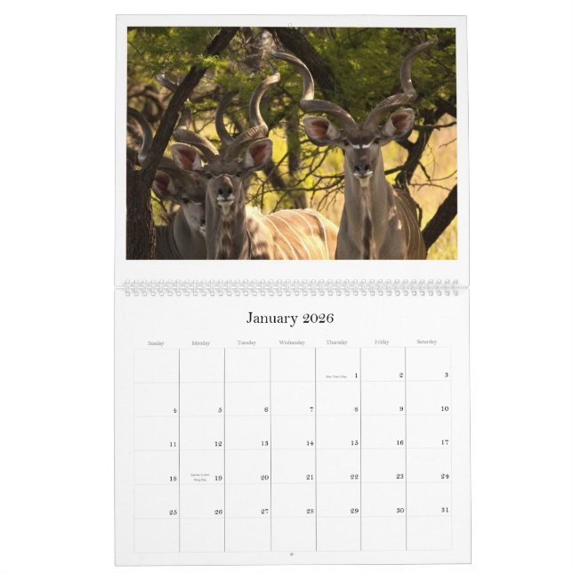 Calendario africano de la fauna (Jan 2026)
