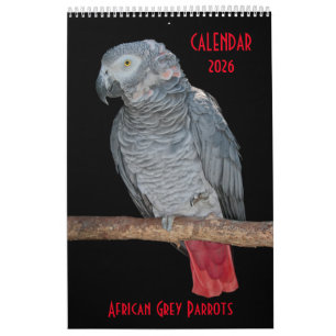 Calendario africano de loros grises