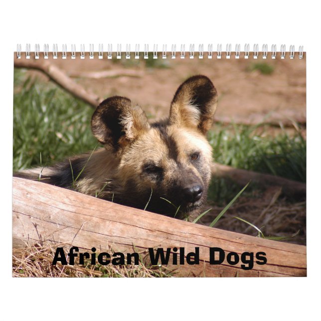 Calendario africano de los perros salvajes, perros (Tapa)