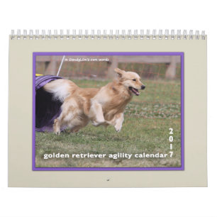 Calendario Agilidad 2017 del golden retriever
