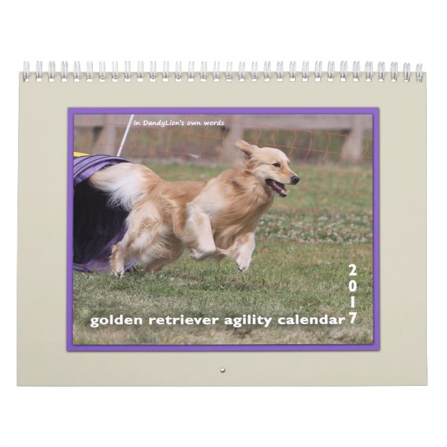 Calendario Agilidad 2017 del golden retriever (Tapa)