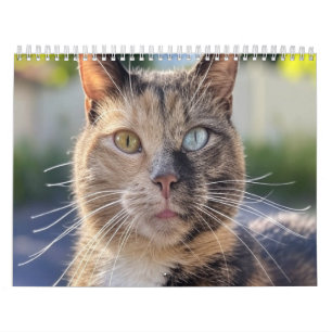 Calendario Agregar foto de gato personalizar