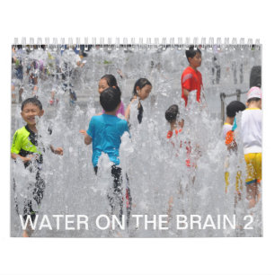 Calendario Agua en el cerebro 2