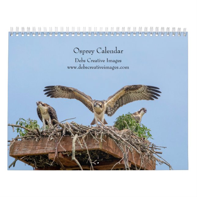 Calendario Águila Pescadora 2026 (Tapa)