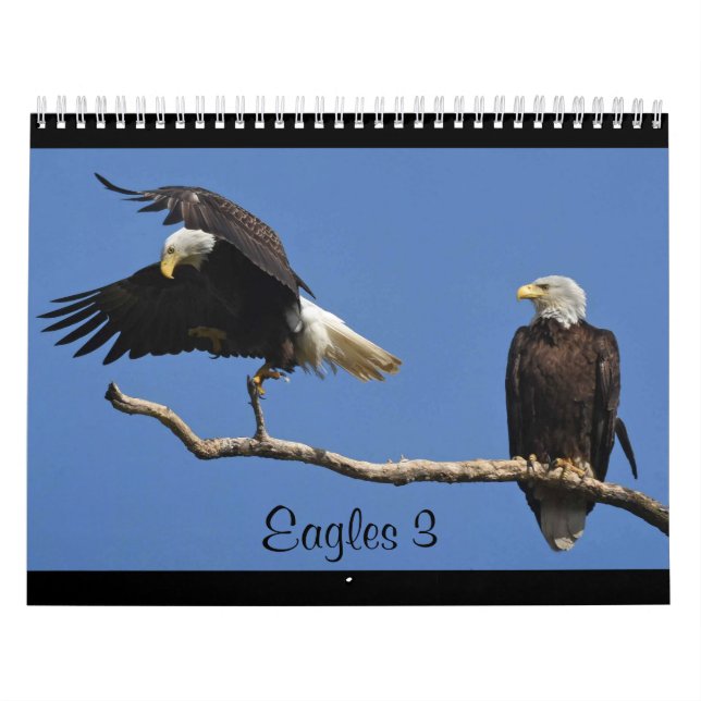 Calendario Águilas 3 (Tapa)