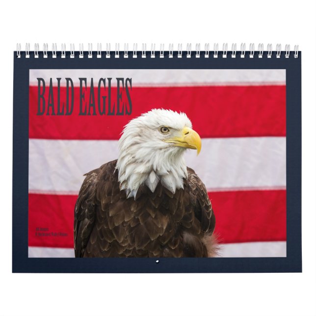 Calendario Águilas calvas (Tapa)