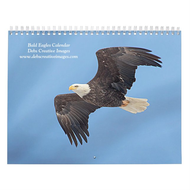 Calendario Águilas calvas 2027 | Fotografía de vida silvestre (Tapa)