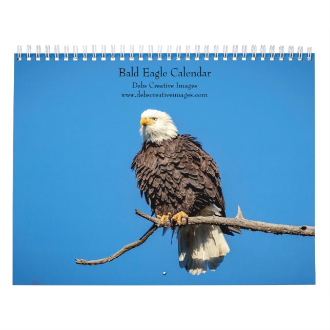 Calendario Águilas calvas 2027 | Vida silvestre americana (Tapa)