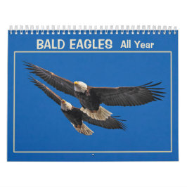 Calendario Águilas calvas todo el año