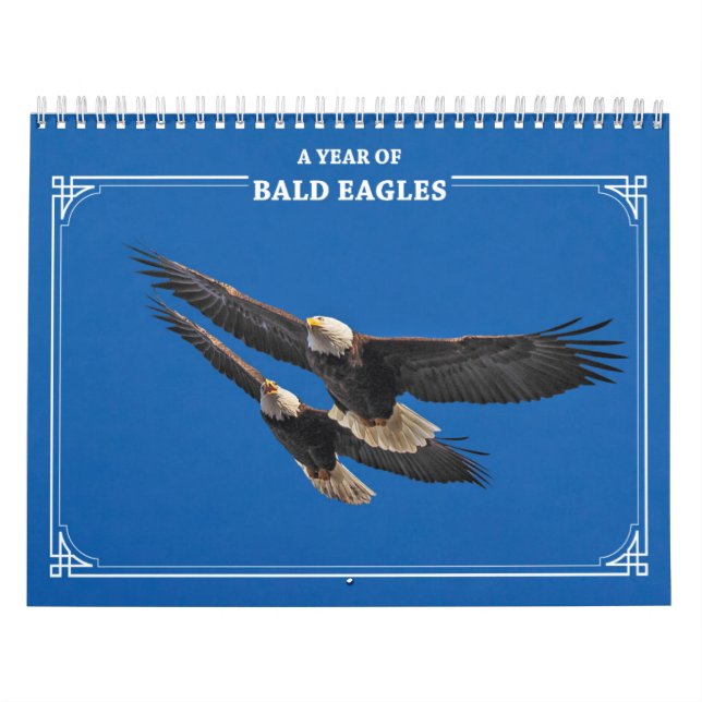 Calendario Águilas calvas todo el año (Tapa)