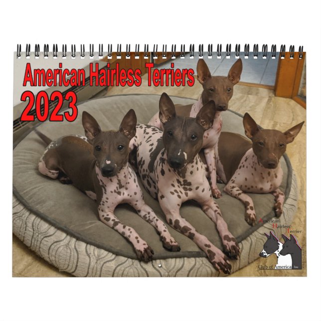 Calendario AHTCA 2023 de American Hairless Terrier (Tapa)