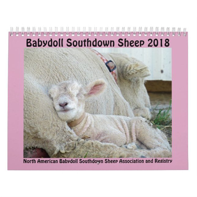 Calendario al sur de 2018 de NABSSAR ovejas de la (Tapa)