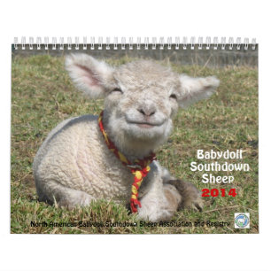 Calendario al sur de las ovejas 2014 NABSSAR de la