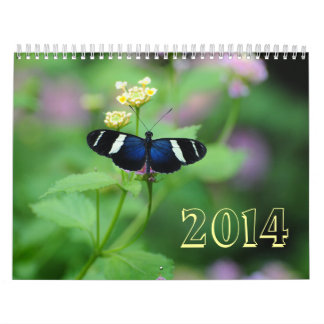 Calendario Alas de la mariposa de la admiración