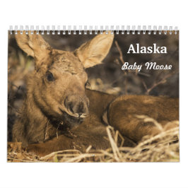 Calendario Alces del bebé