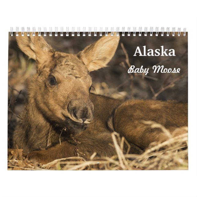 Calendario Alces del bebé (Tapa)