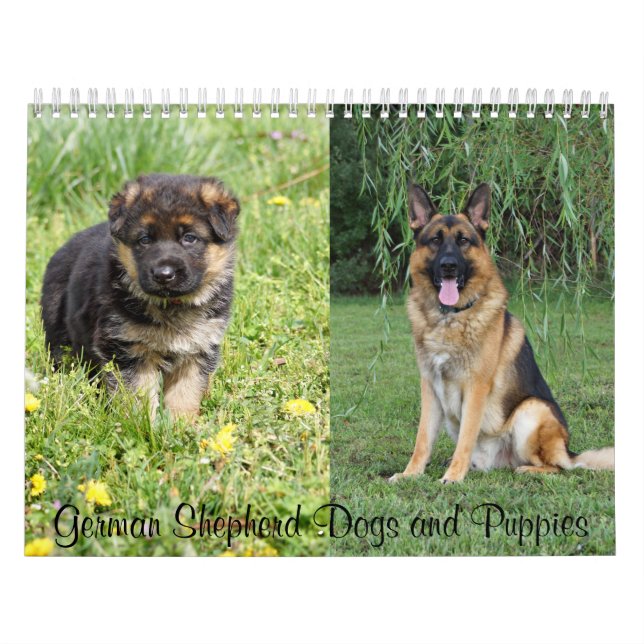 Calendario Alemán de Perros Pastores y Cachorros (Tapa)