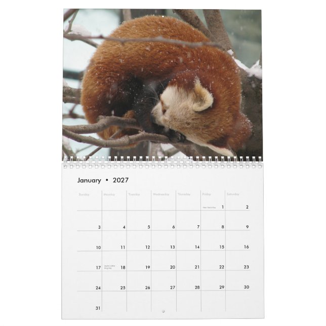 Calendario Algo-Estacional (Jan 2027)