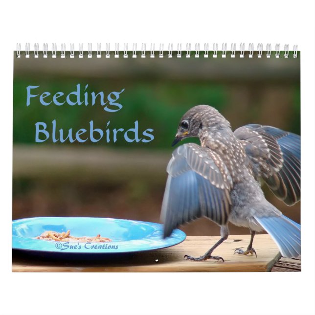 Calendario Alimentando aves azules (Tapa)
