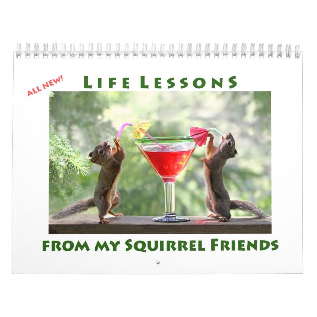 Calendario All Star Squirrel Calendar - New Life Lessons (Tapa)