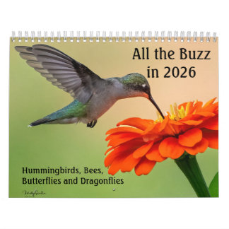 Calendario All the Buzz 2026 Calendar