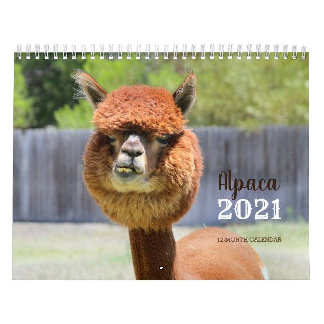 Calendario Alpaca 2021 (Tapa)