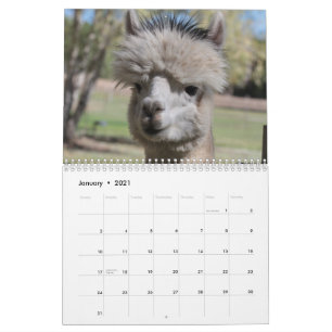 Calendario Alpaca 2021