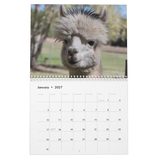 Calendario Alpaca 2021 (Jan 2027)