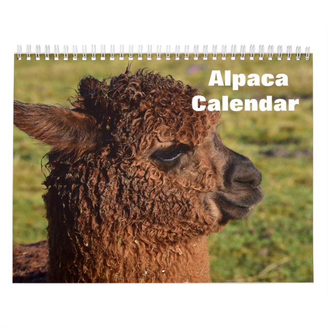 Calendario Alpaca 2025 (Tapa)