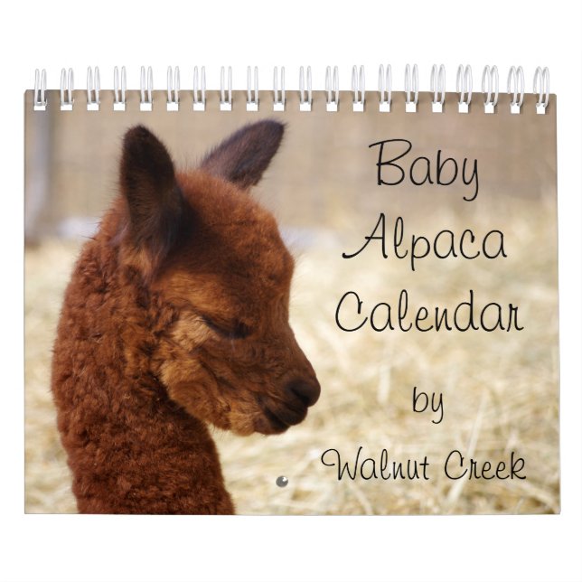 Calendario Alpaca para bebés 2023 (Tapa)