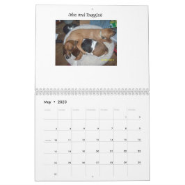 Calendario alternativo de base