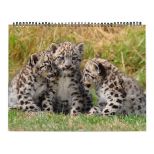 Calendario Amantes animales 2012