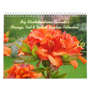 Calendario Amarillo anaranjado rojo de los rododendros de