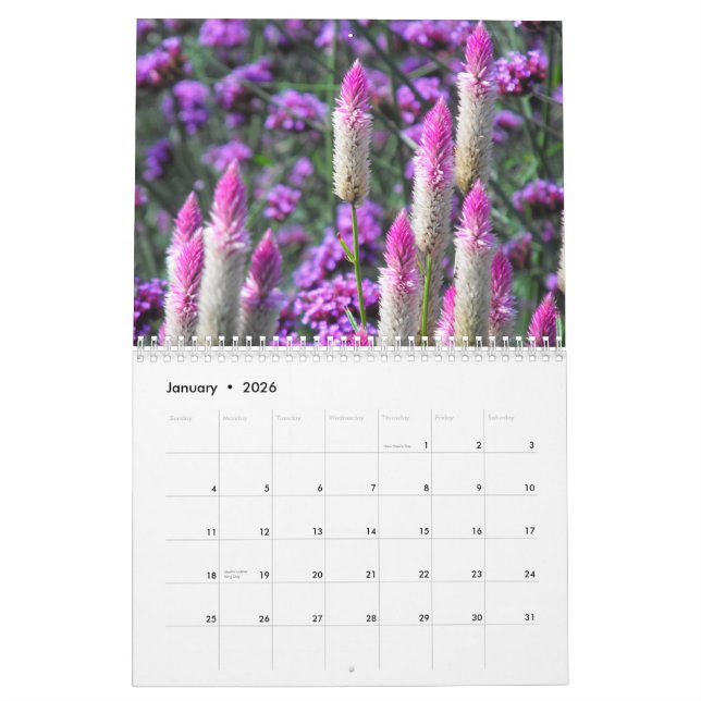 Calendario Amaryllis anaranjado (Jan 2026)