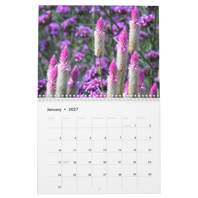 Calendario Amaryllis anaranjado (Jan 2027)