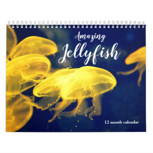 Calendario Amazing Jellyfish 2026