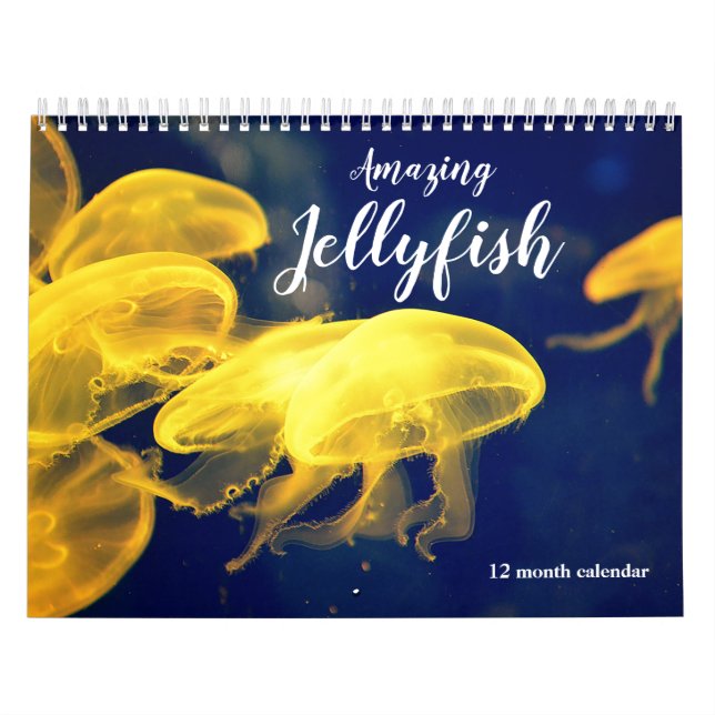 Calendario Amazing Jellyfish 2026 (Tapa)