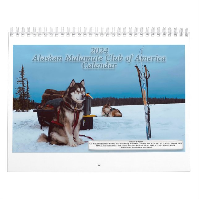 Calendario AMCA 2024 (Tapa)