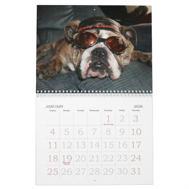 Calendario Ame ese bulldog Calander (Jan 2026)