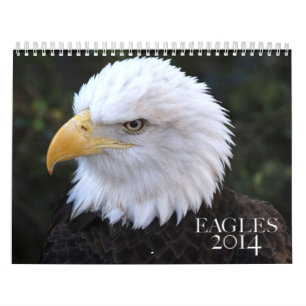 Calendario americano de Eagle calvo 2014